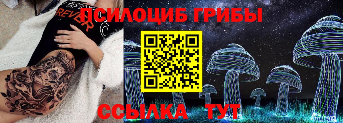 Псилоцибиновые грибы Cubensis  Вход с VPN  Псилоцибиновые грибы мухоморы  купить  сайты  Апшеронск 