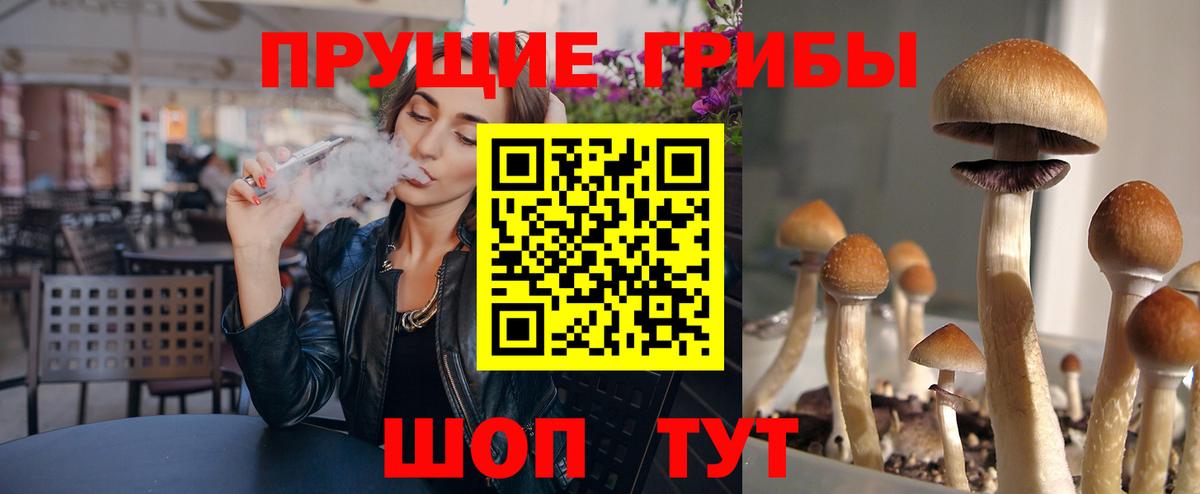Галлюциногенные грибы GOLDEN TEACHER Апшеронск